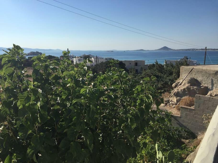 Kolona Studios Mikri Vigla Exteriör bild